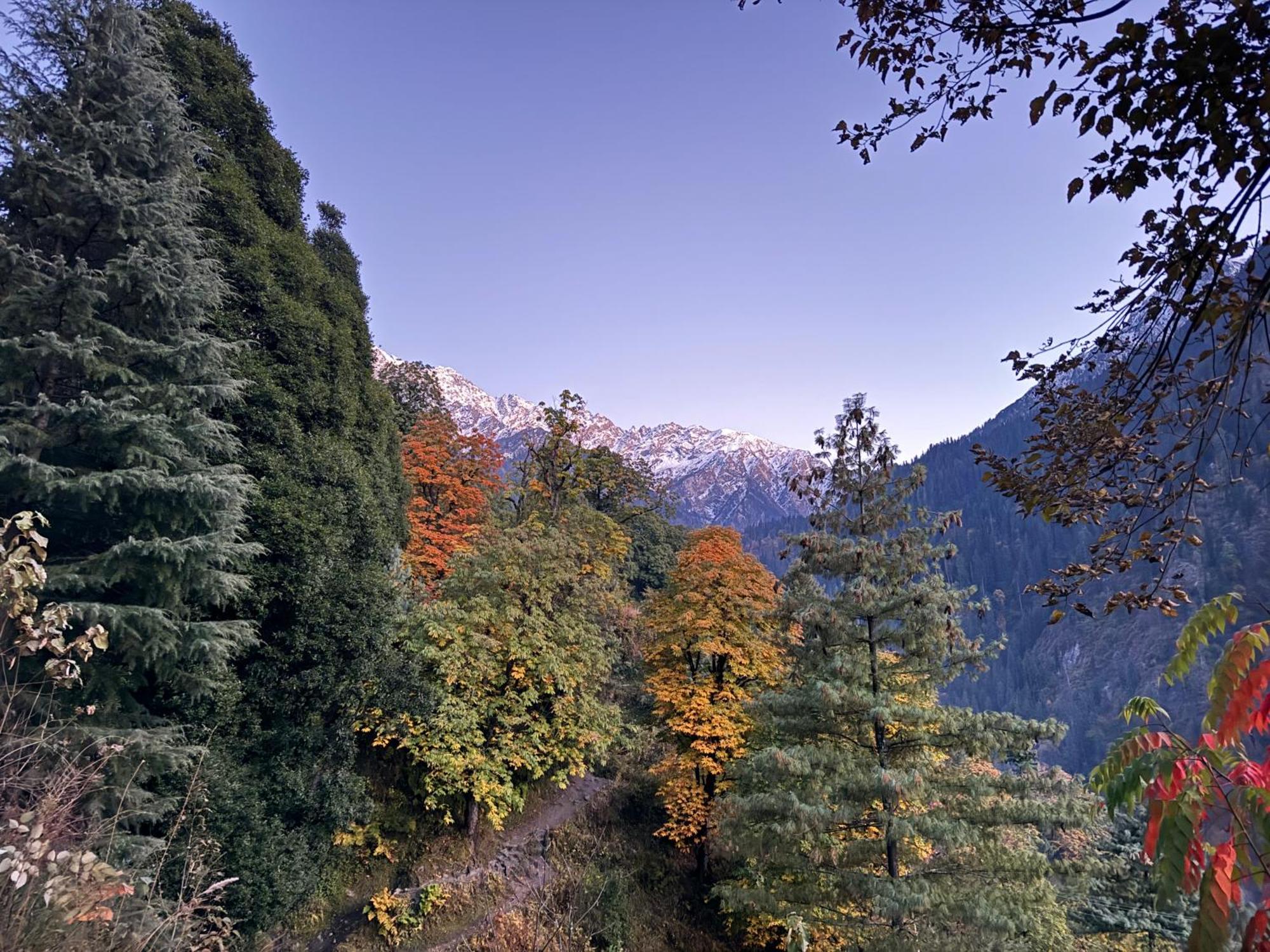 Delight Homestay Kasol Exterior photo